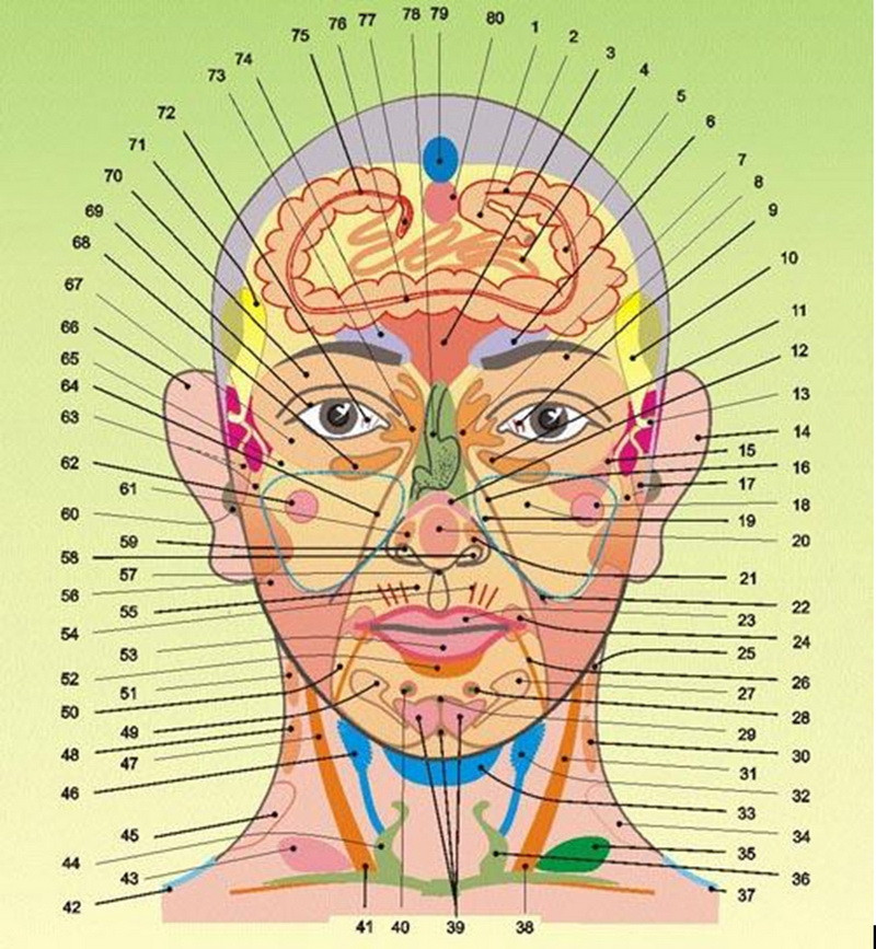 Face